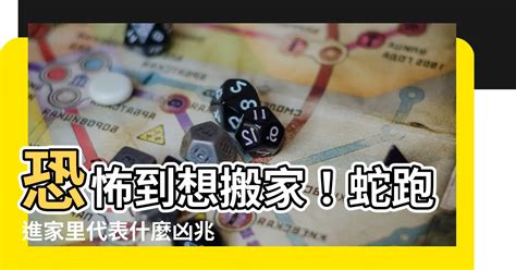 蛇跑進家裡代表什麼|為何家中見蛇？風水師揭秘原因